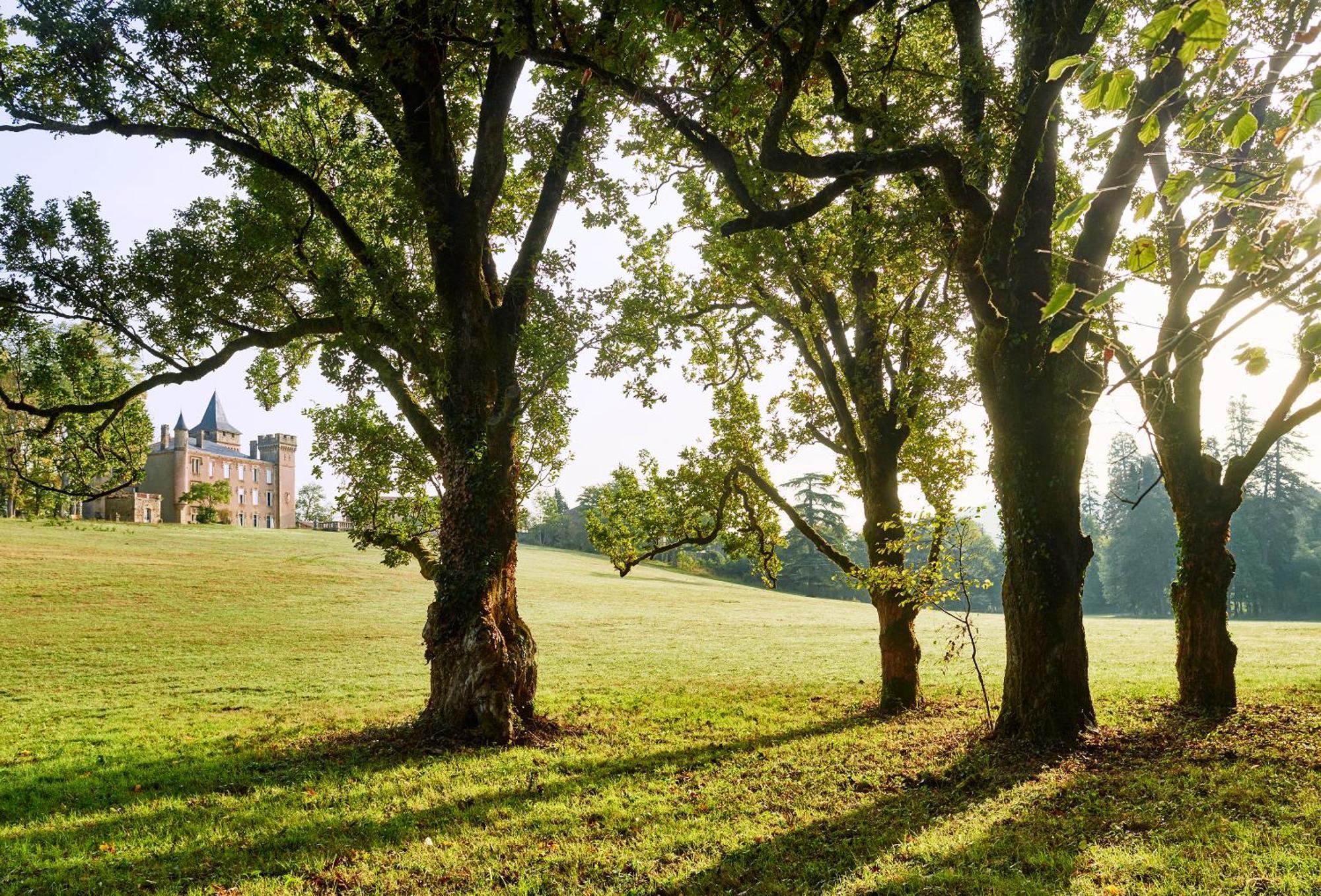Chateau De Sibra Lagarde  Exterior photo